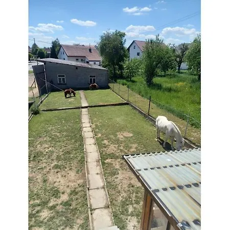 With 1 Bedroom Uttenweiler