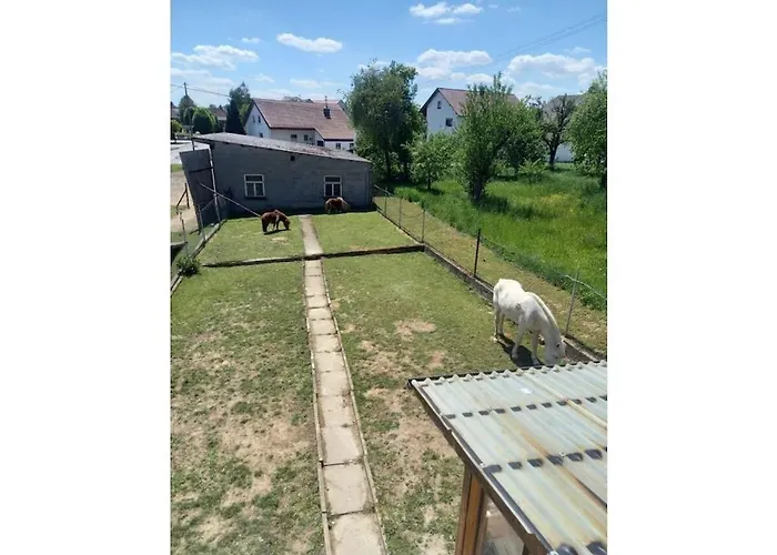 With 1 Bedroom Uttenweiler